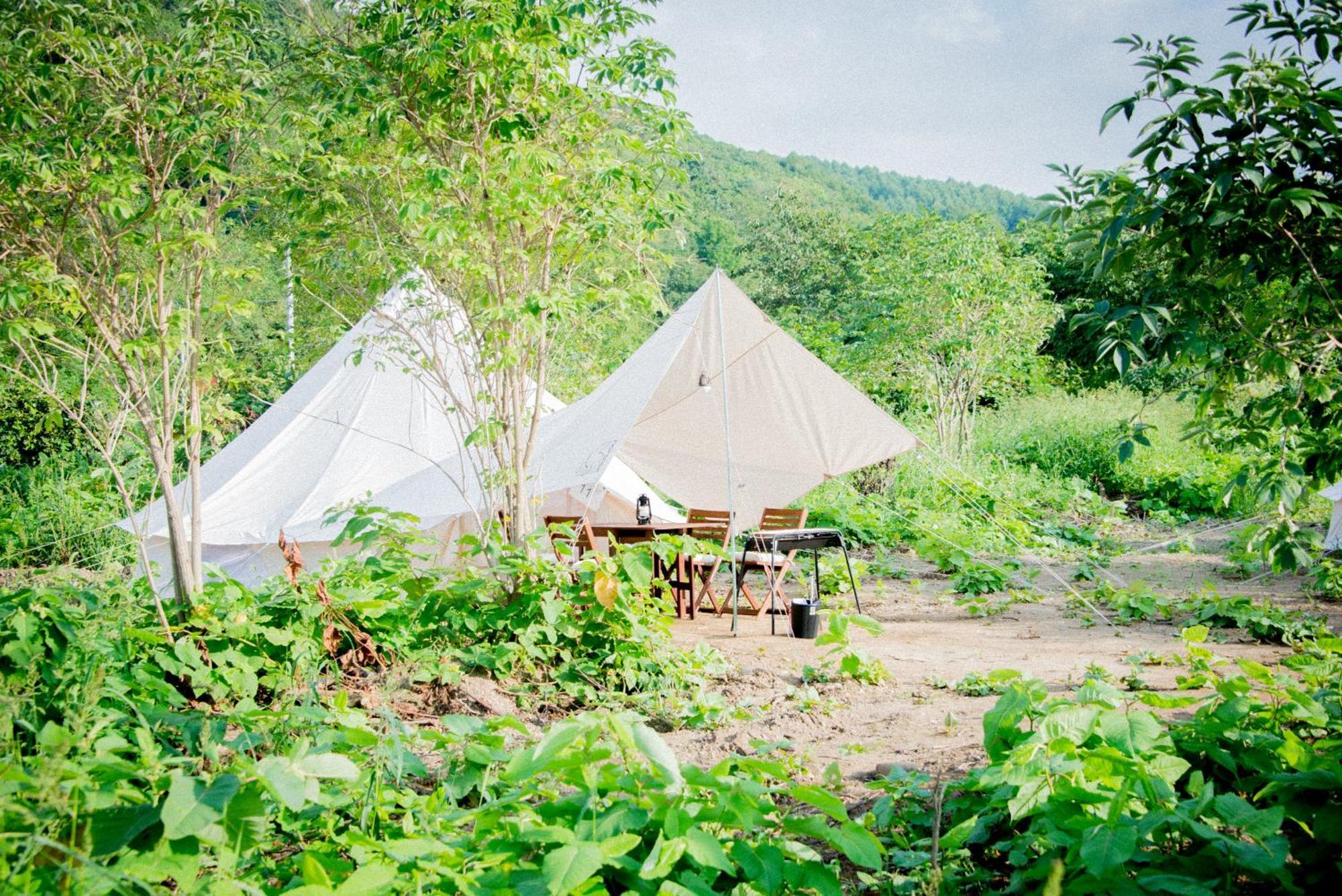 Yoichi Vineyard Glamping Hotel Екстериор снимка